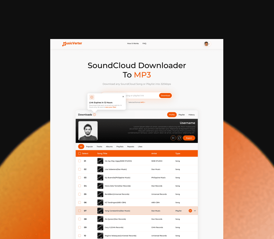 Music Verter product workflow interface